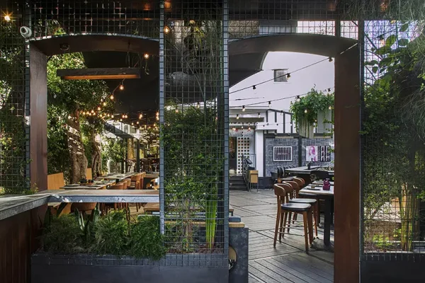 kitto_katto (4) copy