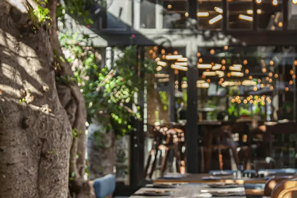 kitto_katto (5) copy