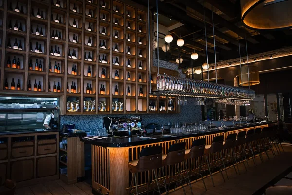 0- תמונה לכניסה OK copy