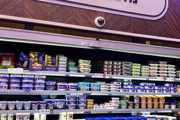 PHOTO-2022-04-25-08-14-06-(1) copy